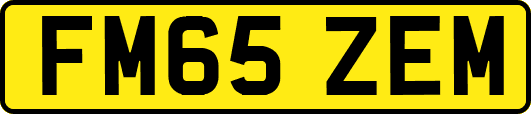FM65ZEM