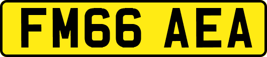 FM66AEA