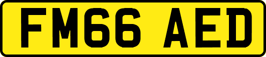 FM66AED