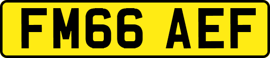 FM66AEF