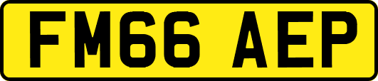FM66AEP