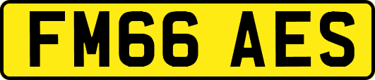 FM66AES
