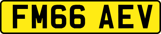 FM66AEV