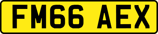 FM66AEX