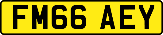FM66AEY