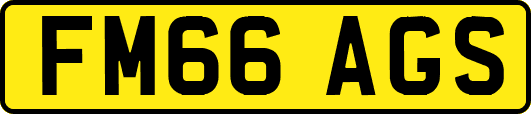 FM66AGS