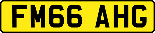 FM66AHG