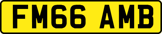 FM66AMB