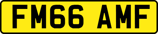 FM66AMF
