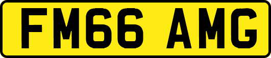 FM66AMG