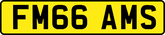 FM66AMS