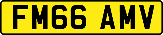 FM66AMV