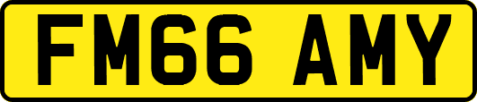 FM66AMY