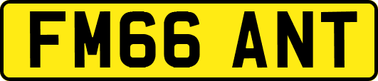 FM66ANT