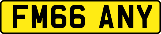 FM66ANY