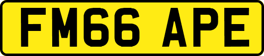 FM66APE