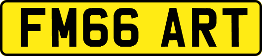 FM66ART