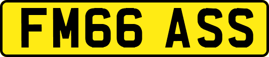 FM66ASS