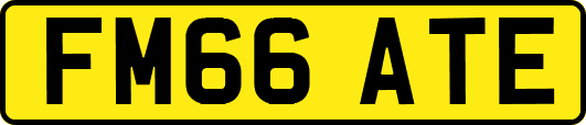 FM66ATE