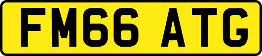 FM66ATG