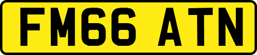 FM66ATN