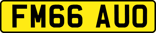 FM66AUO