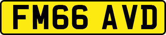 FM66AVD