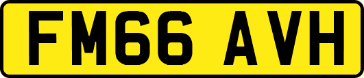 FM66AVH