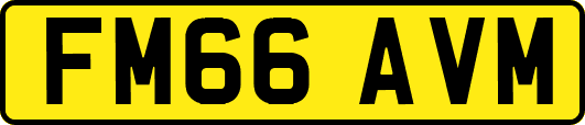 FM66AVM