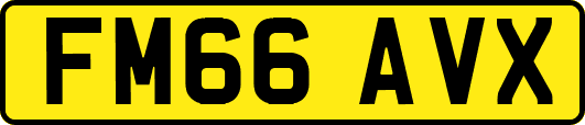 FM66AVX