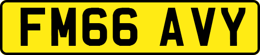 FM66AVY