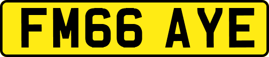 FM66AYE