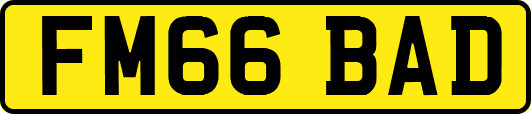 FM66BAD