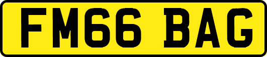 FM66BAG