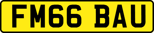 FM66BAU