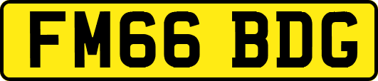 FM66BDG
