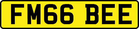 FM66BEE