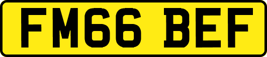 FM66BEF