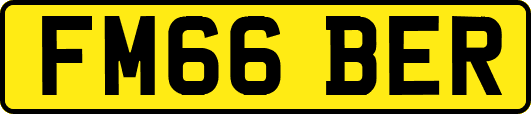 FM66BER