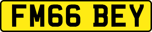 FM66BEY