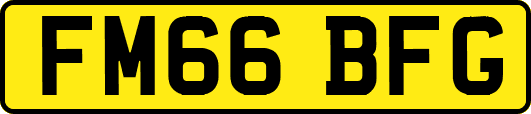 FM66BFG
