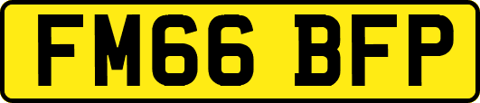FM66BFP