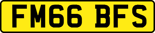 FM66BFS