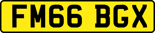 FM66BGX