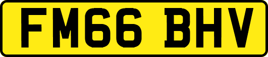 FM66BHV