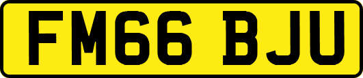 FM66BJU