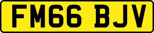 FM66BJV