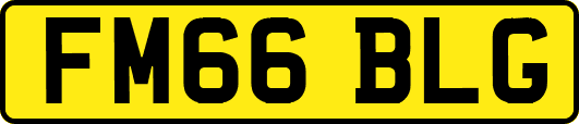 FM66BLG