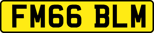 FM66BLM