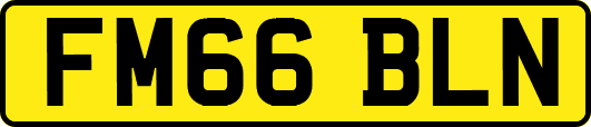 FM66BLN